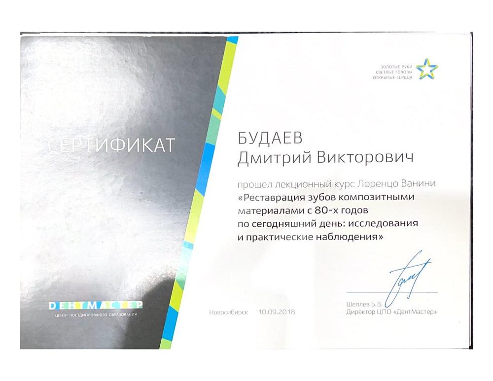 Будаев Дмитрий Викторович - Лицензии и сертификаты